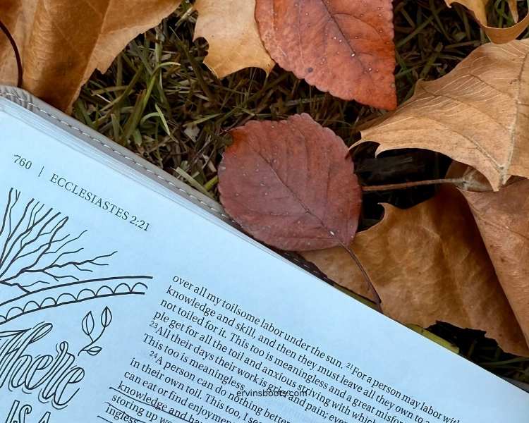 "Falling" Into God’s Perfect Timing 🍂