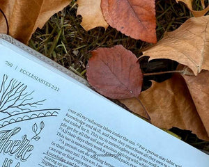 "Falling" Into God’s Perfect Timing 🍂