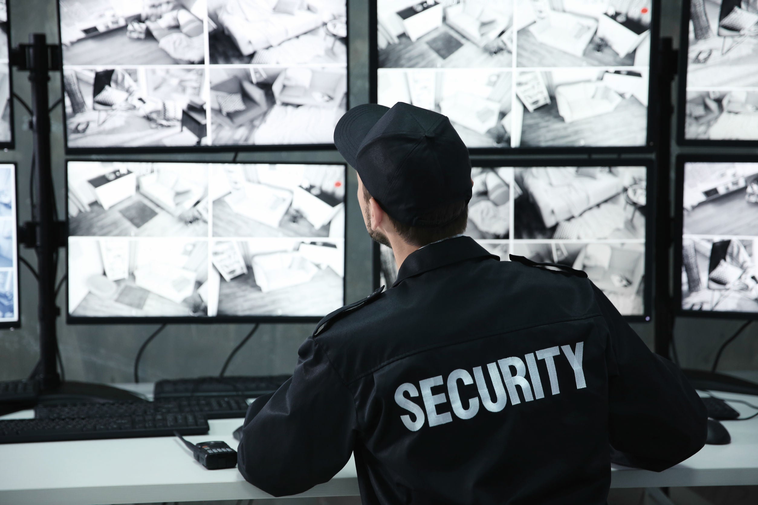 SECURITY PRODUCTS